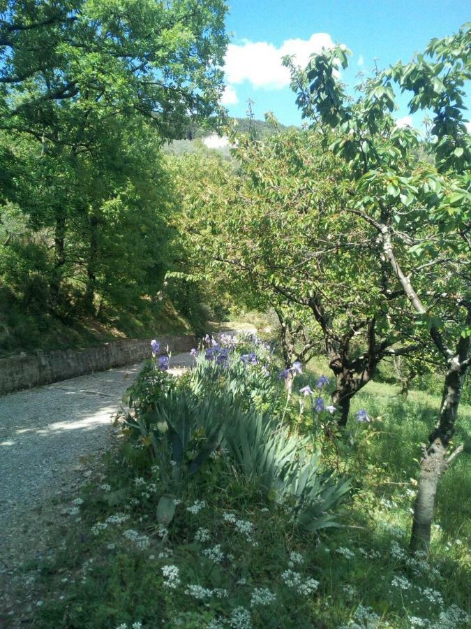 Villa Desiderio Tuscany Pistoia Exterior photo